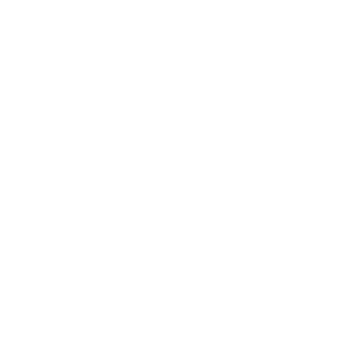 barbecue (1)
